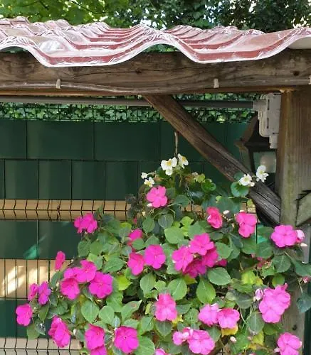 فندق De Zevende Hemel كيركراد